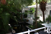 Enlarge photo 183