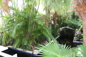 Enlarge photo 185