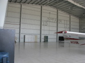 Falcon
