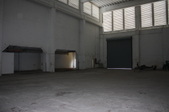 Enlarge photo 85