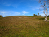 Enlarge photo 30