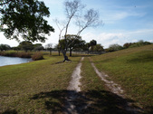 Enlarge photo 32