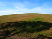 Enlarge photo 35
