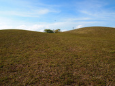 Enlarge photo 39