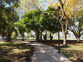 Enlarge photo 31