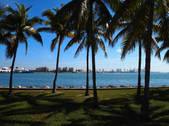 Enlarge photo 77