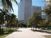 Enlarge photo 79