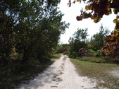 Oletta Park