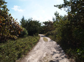 Enlarge photo 2