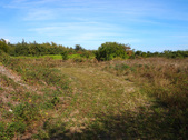 Enlarge photo 12