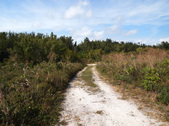 Enlarge photo 19