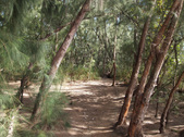 Enlarge photo 25