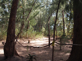 Enlarge photo 27