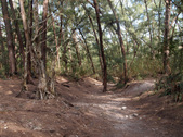 Enlarge photo 28