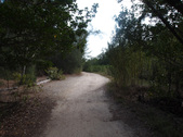 Enlarge photo 29