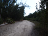 Enlarge photo 30