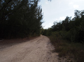 Enlarge photo 31