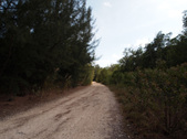 Enlarge photo 32