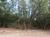 Enlarge photo 33