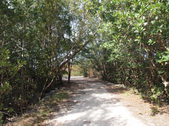 Enlarge photo 34