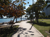 Enlarge photo 37