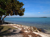Enlarge photo 39