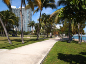 Enlarge photo 45