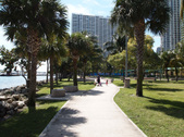 Enlarge photo 47