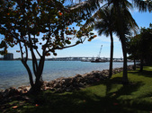 Enlarge photo 55
