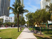 Enlarge photo 62