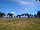 Enlarge photo 84
