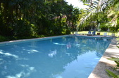 Enlarge photo 33