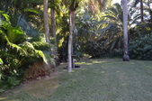 Enlarge photo 37