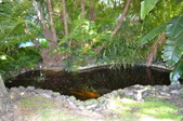 Enlarge photo 40