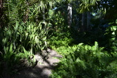 Enlarge photo 41