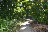 Enlarge photo 42