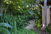 Enlarge photo 45