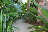 Enlarge photo 46