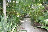 Enlarge photo 47