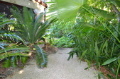 Enlarge photo 48