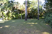Enlarge photo 49