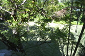 Enlarge photo 73