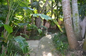 Enlarge photo 81