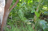 Enlarge photo 82
