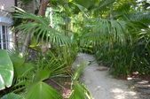 Enlarge photo 83