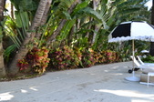 Enlarge photo 39