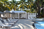 Enlarge photo 46
