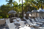 Enlarge photo 47