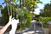 Enlarge photo 48