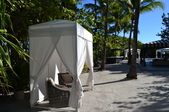 Enlarge photo 53